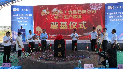 yl23411޹˾عصڨʽԲֳ