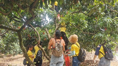 縣yl23411֯ժ֦